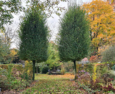 herbstlicher Kundengarten