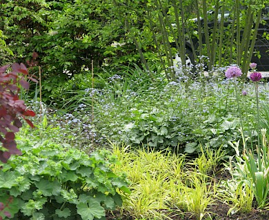 Elke Kuper, Gartenplanung, Pflanzen, Gartengestaltung